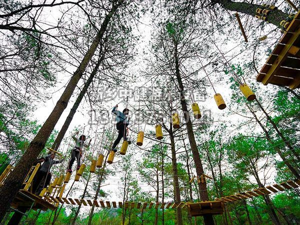 步步驚心廠家,帶你擁抱大自然!